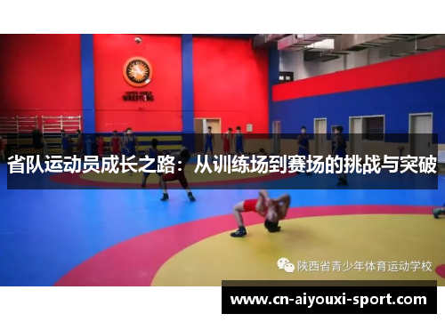 省队运动员成长之路：从训练场到赛场的挑战与突破