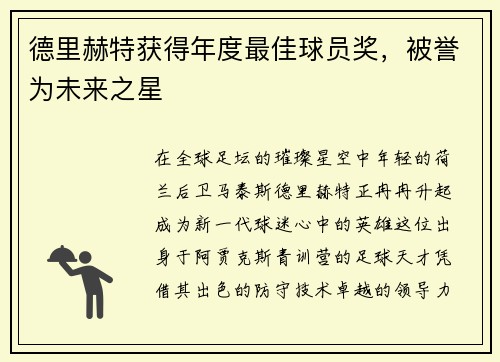 德里赫特获得年度最佳球员奖，被誉为未来之星